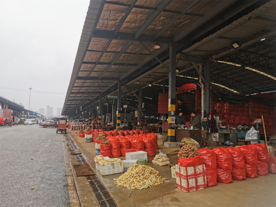 春節“菜籃子”供應充足，雙福國際農貿城假期交易量近5萬噸保民生